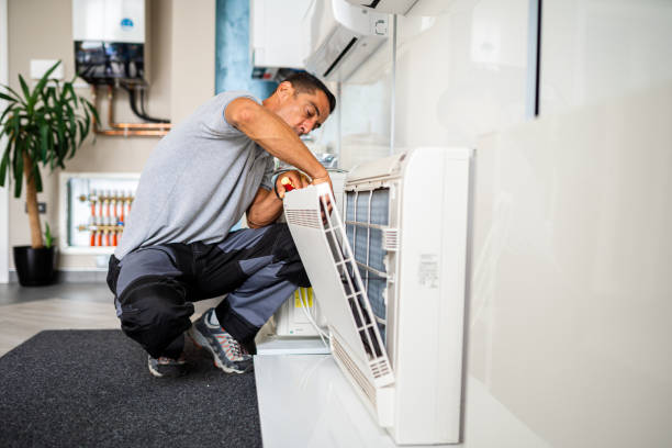 Best Air Duct Cleaning Near Me  in Blasdell, NY