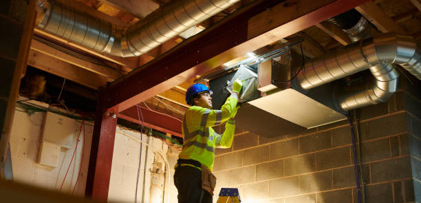 Best Air Duct Mold Removal  in Blasdell, NY