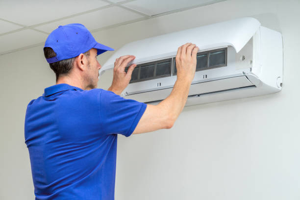 Best Air Duct Mold Removal  in Blasdell, NY